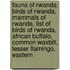 Fauna Of Rwanda: Birds Of Rwanda, Mammals Of Rwanda, List Of Birds Of Rwanda, African Buffalo, Common Waxbill, Lesser Flamingo, Eastern