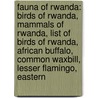 Fauna Of Rwanda: Birds Of Rwanda, Mammals Of Rwanda, List Of Birds Of Rwanda, African Buffalo, Common Waxbill, Lesser Flamingo, Eastern door Source Wikipedia