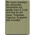 Film Tourn Brooklyn: Les Affranchis, Remember Me, Spider-Man 3, Il Tait Une Fois En Am Rique, L'Impasse, L'Agence, La Guerre Des Mondes