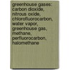 Greenhouse Gases: Carbon Dioxide, Nitrous Oxide, Chlorofluorocarbon, Water Vapor, Greenhouse Gas, Methane, Perfluorocarbon, Halomethane door Source Wikipedia