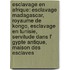 Esclavage En Afrique: Esclavage Madagascar, Royaume De Kongo, Esclavage En Tunisie, Servitude Dans L' Gypte Antique, Maison Des Esclaves