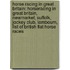 Horse Racing In Great Britain: Horseracing In Great Britain, Newmarket, Suffolk, Jockey Club, Lambourn, List Of British Flat Horse Races