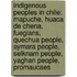 Indigenous Peoples In Chile: Mapuche, Huaca De Chena, Fuegians, Quechua People, Aymara People, Selknam People, Yaghan People, Promaucaes