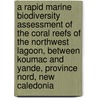 A Rapid Marine Biodiversity Assessment Of The Coral Reefs Of The Northwest Lagoon, Between Koumac And Yande, Province Nord, New Caledonia door Sheila Mckenna