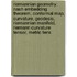 Riemannian Geometry: Nash Embedding Theorem, Conformal Map, Curvature, Geodesic, Riemannian Manifold, Riemann Curvature Tensor, Metric Tens