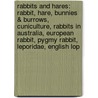 Rabbits And Hares: Rabbit, Hare, Bunnies & Burrows, Cuniculture, Rabbits In Australia, European Rabbit, Pygmy Rabbit, Leporidae, English Lop by Source Wikipedia