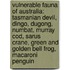 Vulnerable Fauna Of Australia: Tasmanian Devil, Dingo, Dugong, Numbat, Murray Cod, Sarus Crane, Green And Golden Bell Frog, Macaroni Penguin