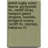 Welsh Rugby Union Teams: Pontypridd Rfc, Cardiff Blues, Newport Gwent Dragons, Scarlets, Bridgend Ravens, Cardiff Rfc, Ospreys, Trebanos Rfc
