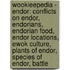 Wookieepedia - Endor: Conflicts On Endor, Endorians, Endorian Food, Endor Locations, Ewok Culture, Plants Of Endor, Species Of Endor, Battle