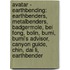 Avatar - Earthbending: Earthbenders, Metalbenders, Badgermole, Bei Fong, Bolin, Bumi, Bumi's Advisor, Canyon Guide, Chin, Dai Li, Earthbender