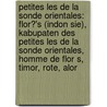 Petites Les De La Sonde Orientales: Flor?'s (Indon Sie), Kabupaten Des Petites Les De La Sonde Orientales, Homme De Flor S, Timor, Rote, Alor by Source Wikipedia