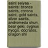 Saint Seiyaa - Saints: Bronze Saints, Corona Saint, Gold Saints, Silver Saints, Andromeda Shun, Bear Geki, Cygnus Hyoga, Docrates, Dragon Shi