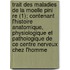 Trait Des Maladies De La Moelle Pini Re (1); Contenant L'Histoire Anatomique, Physiologique Et Pathologique De Ce Centre Nerveux Chez L'Homme