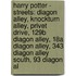 Harry Potter - Streets: Diagon Alley, Knockturn Alley, Privet Drive, 129B Diagon Alley, 18A Diagon Alley, 343 Diagon Alley South, 93 Diagon Al
