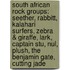 South African Rock Groups: Seether, Rabbitt, Kalahari Surfers, Zebra & Giraffe, Lark, Captain Stu, Nul, Plush, The Benjamin Gate, Cutting Jade