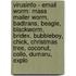 Virusinfo - Email Worm: Mass Mailer Worm, Badtrans, Beagle, Blackworm, Bridex, Bubbleboy, Chick, Christmas Tree, Coconut, Collo, Dumaru, Explo