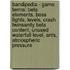 Bandipedia - Game Terms: Beta Elements, Boss Fights, Levels, Crash Twinsanity Beta Content, Unused Waterfall Level, Ants, Atmospheric Pressure