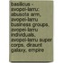 Basilicus - Avopei-Larru: Abusota Arm, Avopei-Larru Business Groups, Avopei-Larru Individuals, Avopei-Larru Super Corps, Diraunt Galaxy, Empire