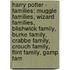 Harry Potter - Families: Muggle Families, Wizard Families, Blishwick Family, Burke Family, Crabbe Family, Crouch Family, Flint Family, Gamp Fam