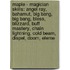 Maple - Magician Skills: Angel Ray, Bahamut, Big Bang, Big Bang, Bless, Blizzard, Buff Mastery, Chain Lightning, Cold Beam, Dispel, Doom, Eleme