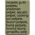 Neopets Guild - Petpets: Altadorian Petpet, Aquatic Petpet, Cooking Pot Petpets, Desert Petpets, Faerie Petpets, Fanciful Fauna, Geraptiku Petp