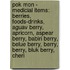 Pok Mon - Medicial Items: Berries, Foods-Drinks, Aguav Berry, Apricorn, Aspear Berry, Babiri Berry, Belue Berry, Berry, Berry, Bluk Berry, Cheri