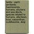 Tardis - Earth Sentients: Haemovores, Humans, Silurians And Sea Devils, Species Related To Humans, Atlantean, Boar, Carpanthan, Cuddlesome, Dolp