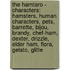 The Hamtaro - Characters: Hamsters, Human Characters, Pets, Barrette, Bijou, Brandy, Chef-Ham, Dexter, Drizzle, Elder Ham, Flora, Gelato, Glitte