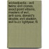 Wickedpedia - Evil Twins: Evil Clones, Exact Point Villains, Masters Of Evil, Anti-Sora, Donald's Double, Evil Aladdin, Evil Buzz Lightyear, Fli