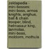 Zeldapedia - Mini-Bosses: Mini-Boss, Armos Knights, Arrghus, Ball & Chain Trooper, Blind, Helmasaur King, Lanmolas, Mini-Boss, Moldorm, Mothula