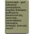 Runescape - God Followers: Armadylians, Bandos Followers, Guthixians, Saradominists, Serenists, Zamorakians, Zarosians, Armadyl, Aviansie, Aviant