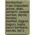 Bomberman - Male Characters: Achoe, Altair, Ashtarth, Assault Bomber, Atomic Bomber, Baelfael, Bagura, Baguro, Bajira, Baron Bombano, Baruda, Bat B