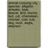 Animal Crossing City - Species: Alligator, Anteater, Bear, Beaver, Bird, Bovine, Bull, Cat, Chameleon, Chicken, Cow, Cub, Dog, Duck, Eagle, Elephant