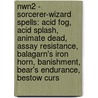 Nwn2 - Sorcerer-Wizard Spells: Acid Fog, Acid Splash, Animate Dead, Assay Resistance, Balagarn's Iron Horn, Banishment, Bear's Endurance, Bestow Curs door Source Wikia