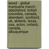 Weed - Global Marijuana March: Abbotsford, British Columbia, Canada, Aberdeen, Scotland, Uk, Abilene, Texas, Usa, Acton, Ontario, Canada, Albuquerque door Source Wikia