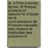 La  P?Che A Toutes Lignes, Th?Orique, Pratique Et Raisonn?E D?Duite De La Connaissance De L'Histoire Naturelle, Des Moeurs Et Habitudes Des Poissons D