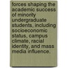 Forces Shaping The Academic Success Of Minority Undergraduate Students, Including Socioeconomic Status, Campus Climate, Racial Identity, And Mass Media Influence. door Lydia O. Gardner