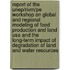 Report Of The Unep/Rivm/Pe Workshop On Global And Regional Modeling Of Food Production And Land Use And The Long-Term Impact Of Degradation Of Land And Water Resources