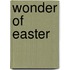 Wonder of Easter