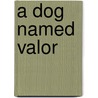 A Dog Named Valor door Joan Quimby