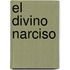 El Divino Narciso