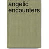 Angelic Encounters door Mitch Creekmore Jeff