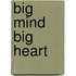 Big Mind Big Heart