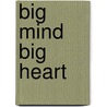 Big Mind Big Heart by Dennis Genpo Merzel