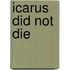 Icarus Did Not Die