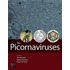Picornaviruses, The