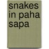 Snakes In Paha Sapa