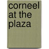 Corneel at The Plaza door Janet York