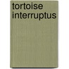 Tortoise Interruptus door Jl Merrow