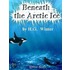 Beneath the Artic Ice